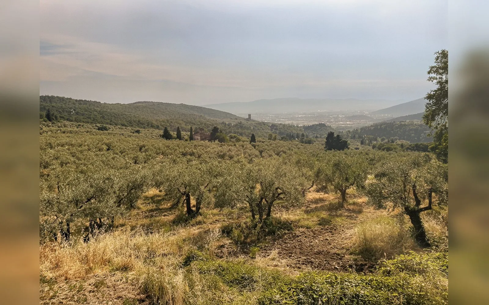 Casa di Gera · Bilocale rustico a Sesto Fiorentino, Monte Morello, 