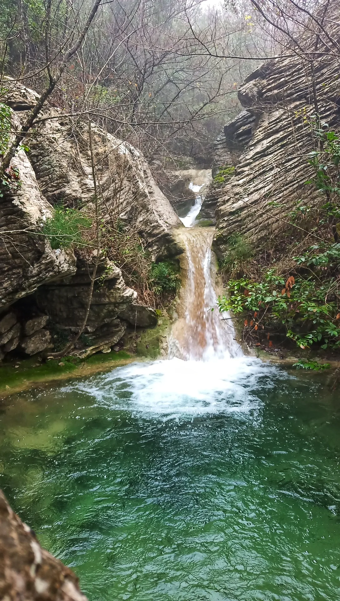 Piccola cascata tra le rocce nel bosco di Monte Morello, Sesto Fiorentino