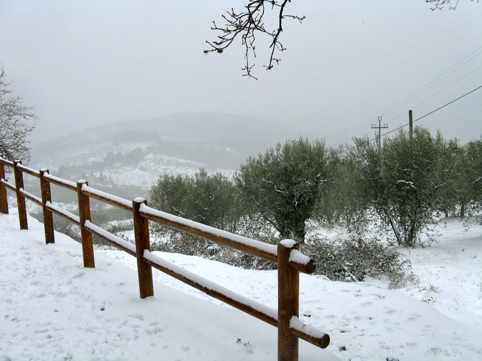 Il Monte Morello innevato durante una rara nevicata invernale, visto dalla campagna circostante