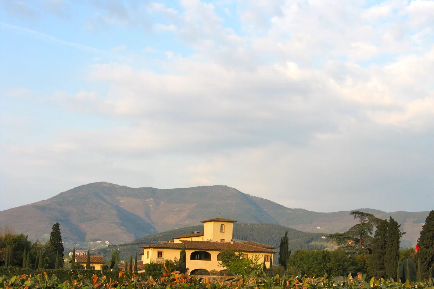 Il profilo del Monte Morello visto dalla piana fiorentina, con la campagna e gli uliveti in primo piano