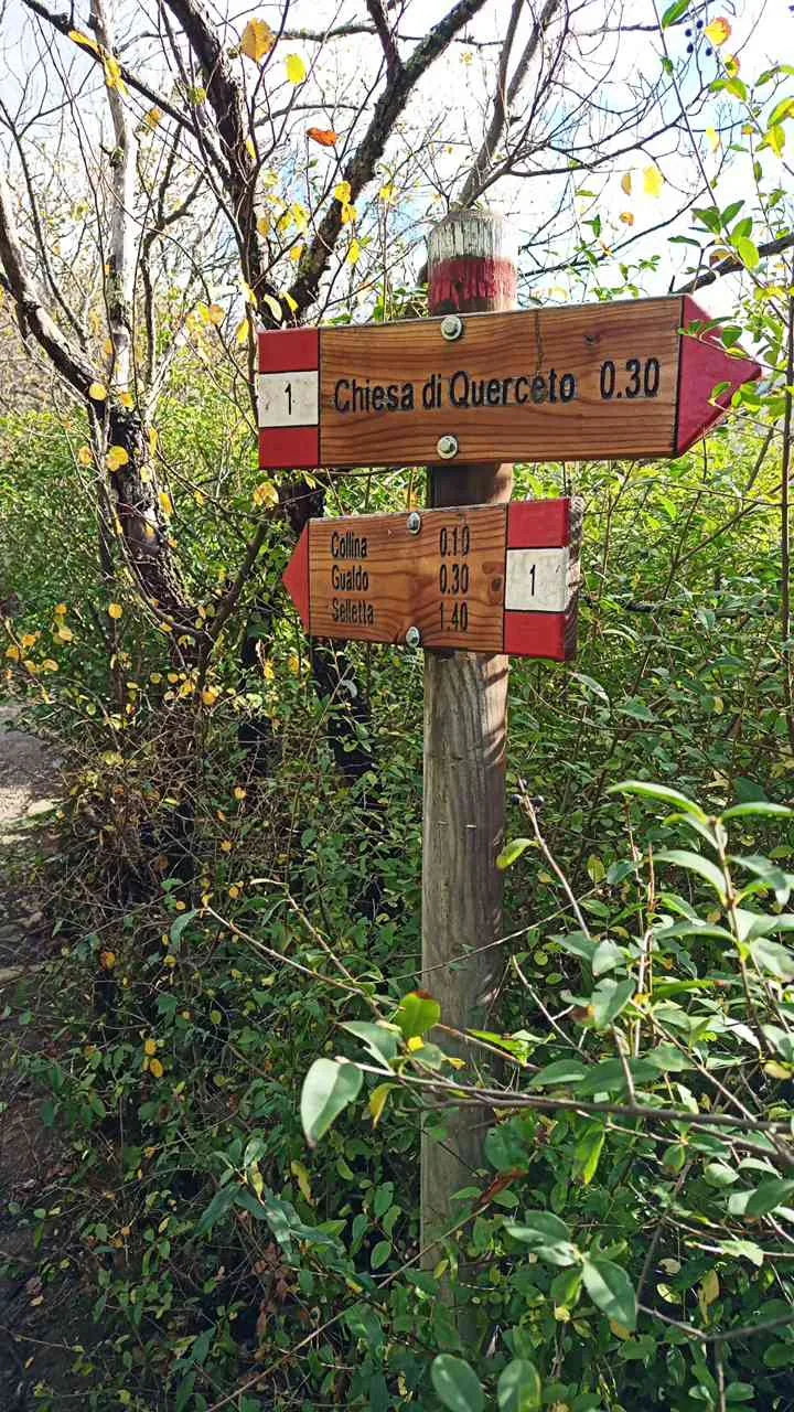 Segnavia bianco-rosso del CAI lungo un sentiero del Monte Morello, tra la vegetazione del versante di Sesto Fiorentino